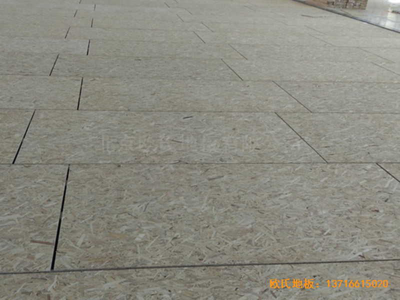 甘肅天水清水縣農(nóng)業(yè)學(xué)院籃球館體育地板鋪設(shè)案例1