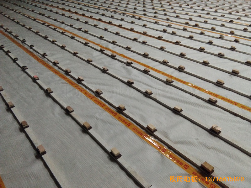 北京朝陽經(jīng)管學院運動館體育木地板鋪裝案例1