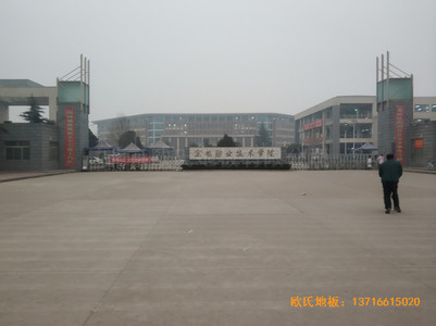 寶雞職業(yè)技術(shù)學院體育館體育木地板安裝案例