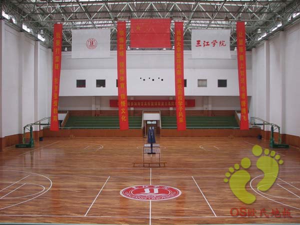 三江學(xué)院體育館木地板圖