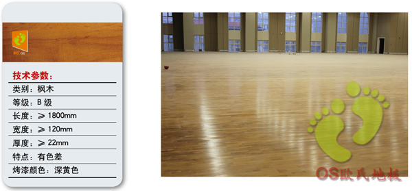 B級(jí)楓木體育運(yùn)動(dòng)地板