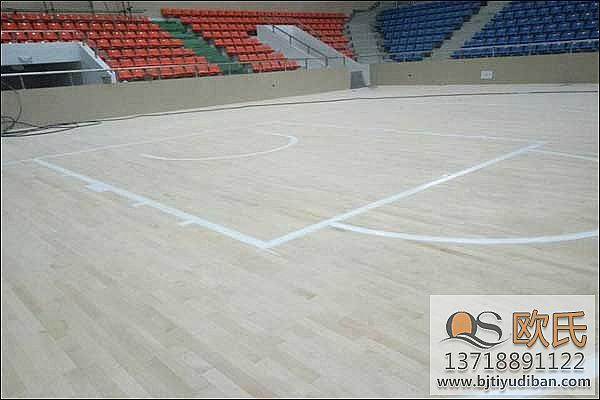 籃球?qū)嵞镜匕宓膬r格一般多少錢？