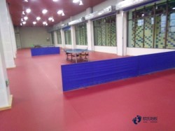 柞木籃球館地板安裝公司