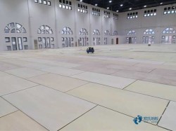 普通運(yùn)動(dòng)場(chǎng)木地板施工