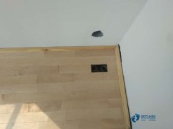 常用松木舞臺運動木地板哪個牌子環(huán)保