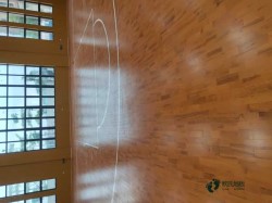 22mm厚運(yùn)動(dòng)館木地板品牌有哪些