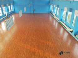 尋求體育運(yùn)動(dòng)木地板木紋