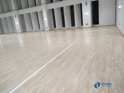學(xué)校俄勒岡松舞臺體育場木地板施工團(tuán)隊