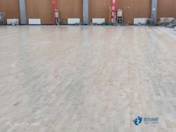 松木舞臺(tái)運(yùn)動(dòng)體育木地板哪個(gè)牌子比較好