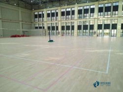 籃球木地板的排名