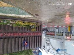 購買俄勒岡松舞臺(tái)體育場地地板哪種牌子好