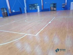 行業(yè)體育運(yùn)動(dòng)木地板保修期