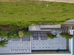 25厚運動體育木地板品牌大全